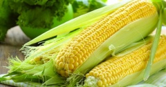 Bắp ngô - Lợi ích sức khỏe tuyệt vời mới nhất