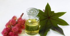 Dầu thầu dầu có tác dụng gì, những lưu ý khi sử dụng?