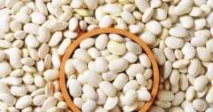 Đậu trắng và dinh dưỡng của chúng tác động như thế nào đến sức khỏe?