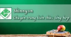 Giới thiệu về Shinny.vn