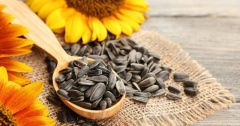 Công dụng của hạt hướng dương