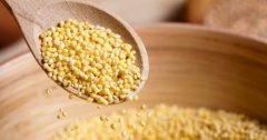 Hạt kê có tác dụng gì? Thành phần dinh dưỡng của hạt kê