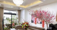 Những điều cần chú ý khi trang trí phòng khách ngày Tết