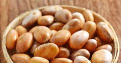 Những tác dụng tốt từ hạt mít ít ai biết đến – Cách ăn hạt mít ngon nhất