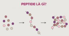 Peptide là gì và TOP sản phẩm chứa peptide dưỡng da đỉnh cao