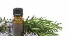 Tinh dầu hương thảo: Liệu pháp hương thơm và gia vị