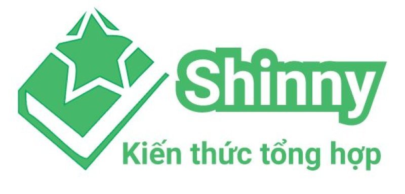 Giới thiệu về Shinny.vn 1