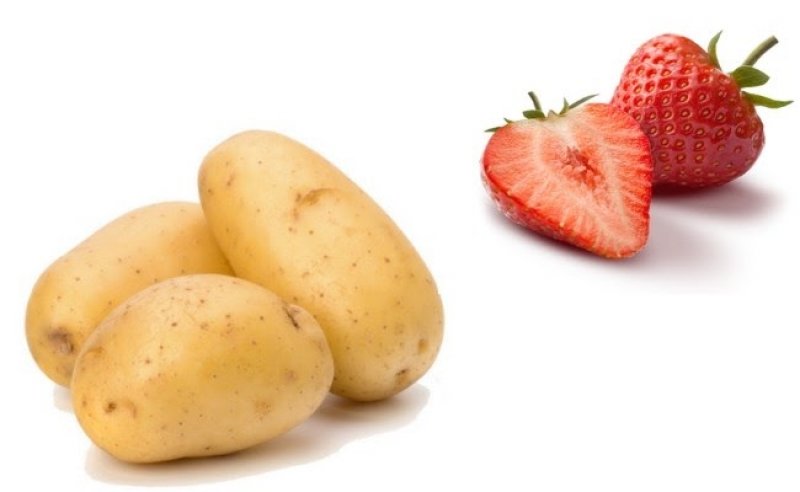 15 loại mặt nạ khoai tây tự làm dưỡng da trắng mịn căng tràn sức sống 4