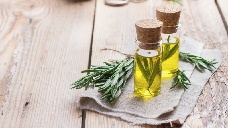 Tinh dầu hương thảo: Liệu pháp hương thơm và gia vị 1