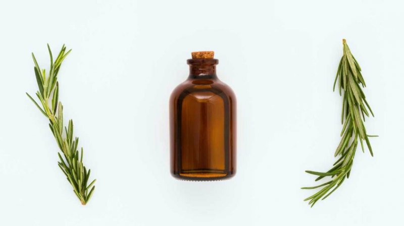 Tinh dầu hương thảo: Liệu pháp hương thơm và gia vị 2