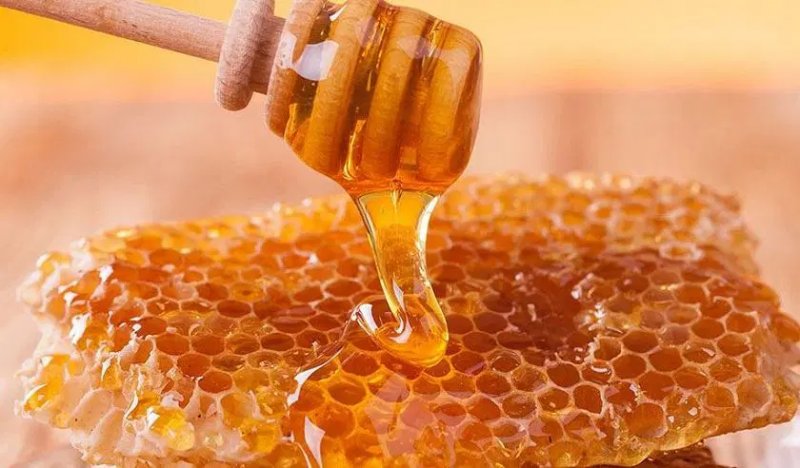 Sáp ong là gì? Công dụng tuyệt vời của sáp ong với sức khỏe 0
