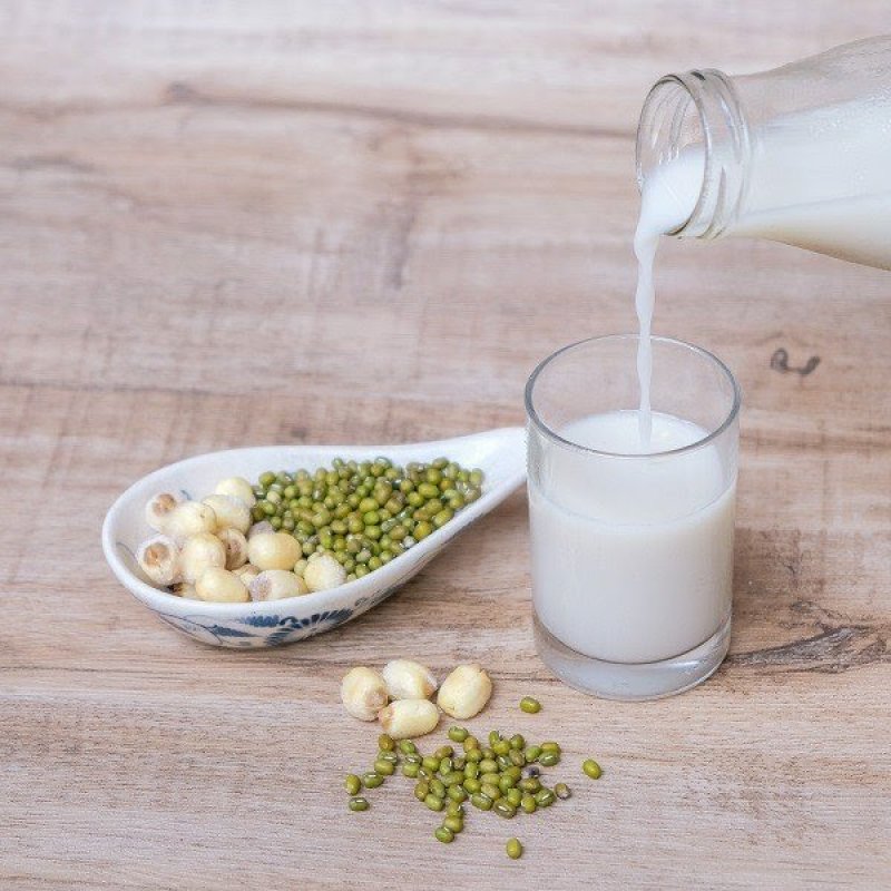 3 công thức làm sữa hạt sen chuẩn hương vị cho gia đình hàng ngày 4