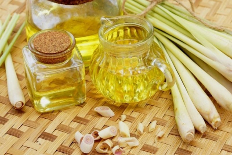 Tinh dầu sả chanh - hương thơm tự nhiên quyến rũ với nhiều công dụng cho sức khỏe 1