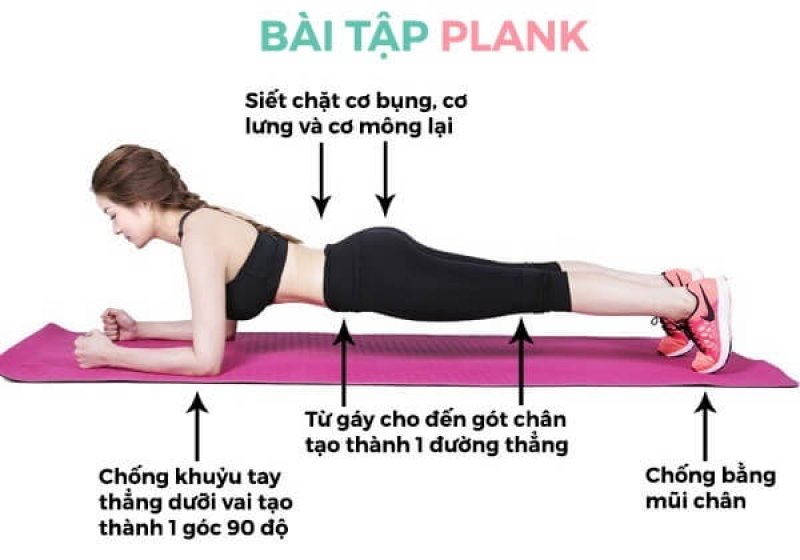 Tập plank giảm mỡ bụng hiệu quả dành riêng cho bạn 0