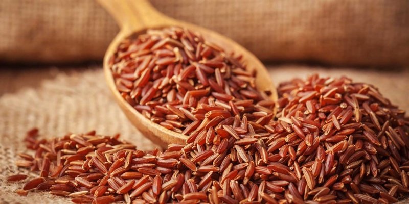 Top 11+ lợi ích “vàng” từ gạo lứt. Tại sao nên ăn? 0