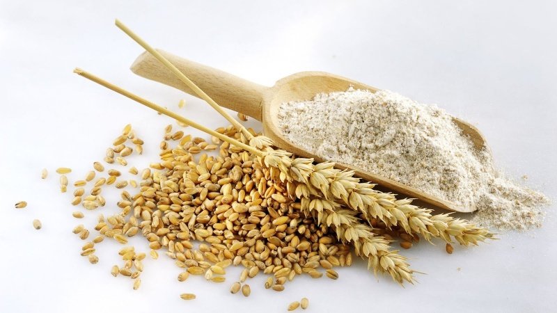 Bột mì nguyên cám trở thành xu thế trên thế giới thay cho bột mì trắng 1