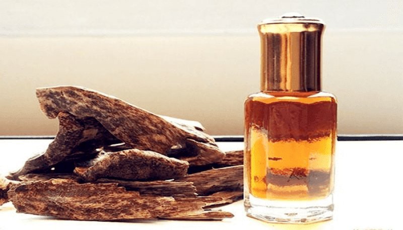 Tinh dầu trầm hương: Vua của các loại tinh dầu quý hiếm 0