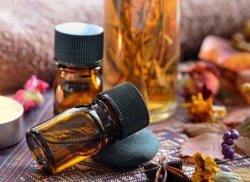 Tinh dầu trầm hương: Vua của các loại tinh dầu quý hiếm 1