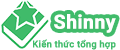 Logo Shinny